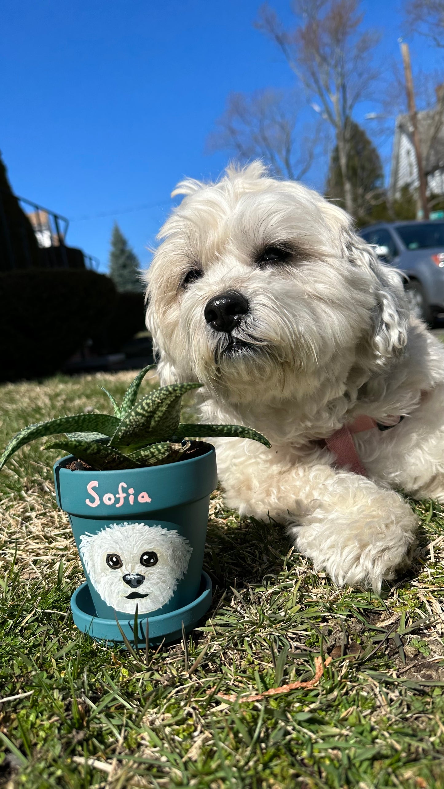 Pet Pawtrait Flower Pot
