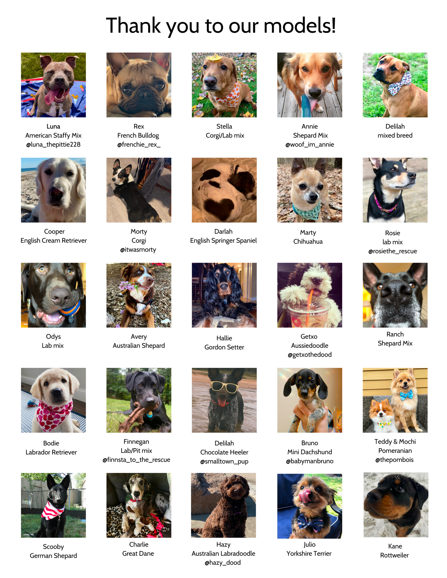 The Good Dog Coloring book