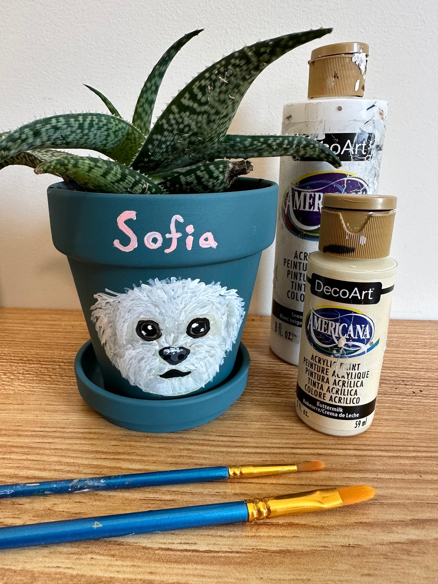 Pet Pawtrait Flower Pot