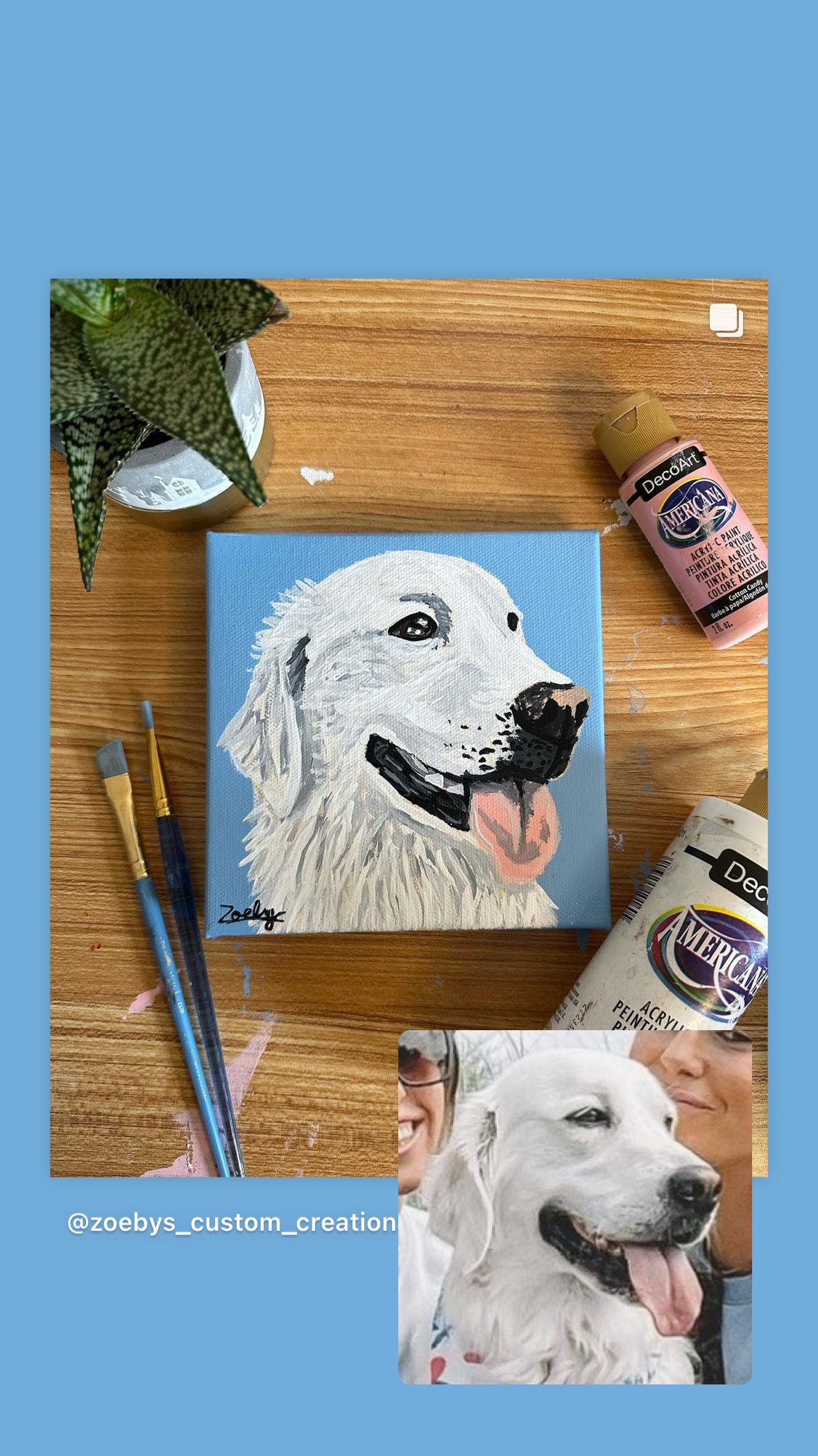 Hand Painted Pet Portraits