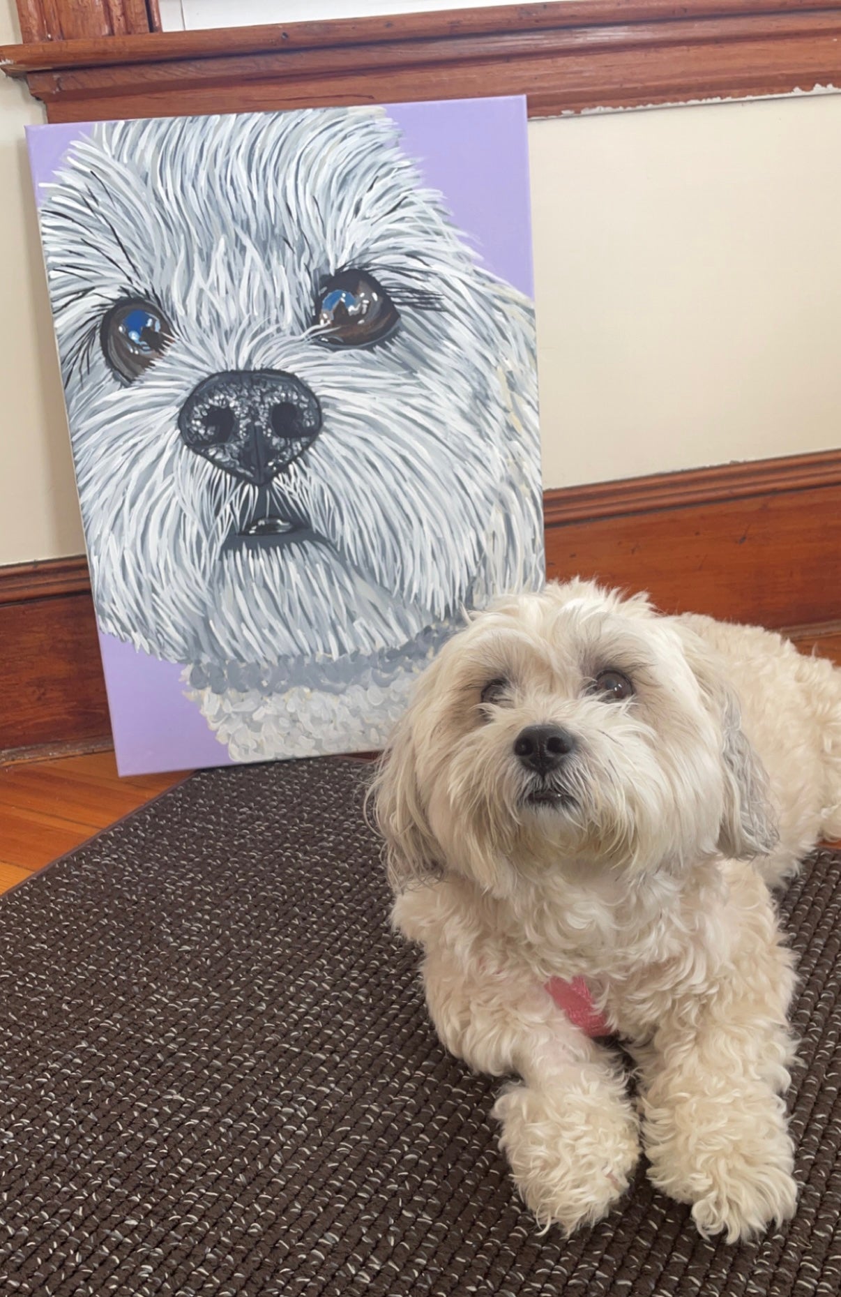 Hand Painted Pet Portraits