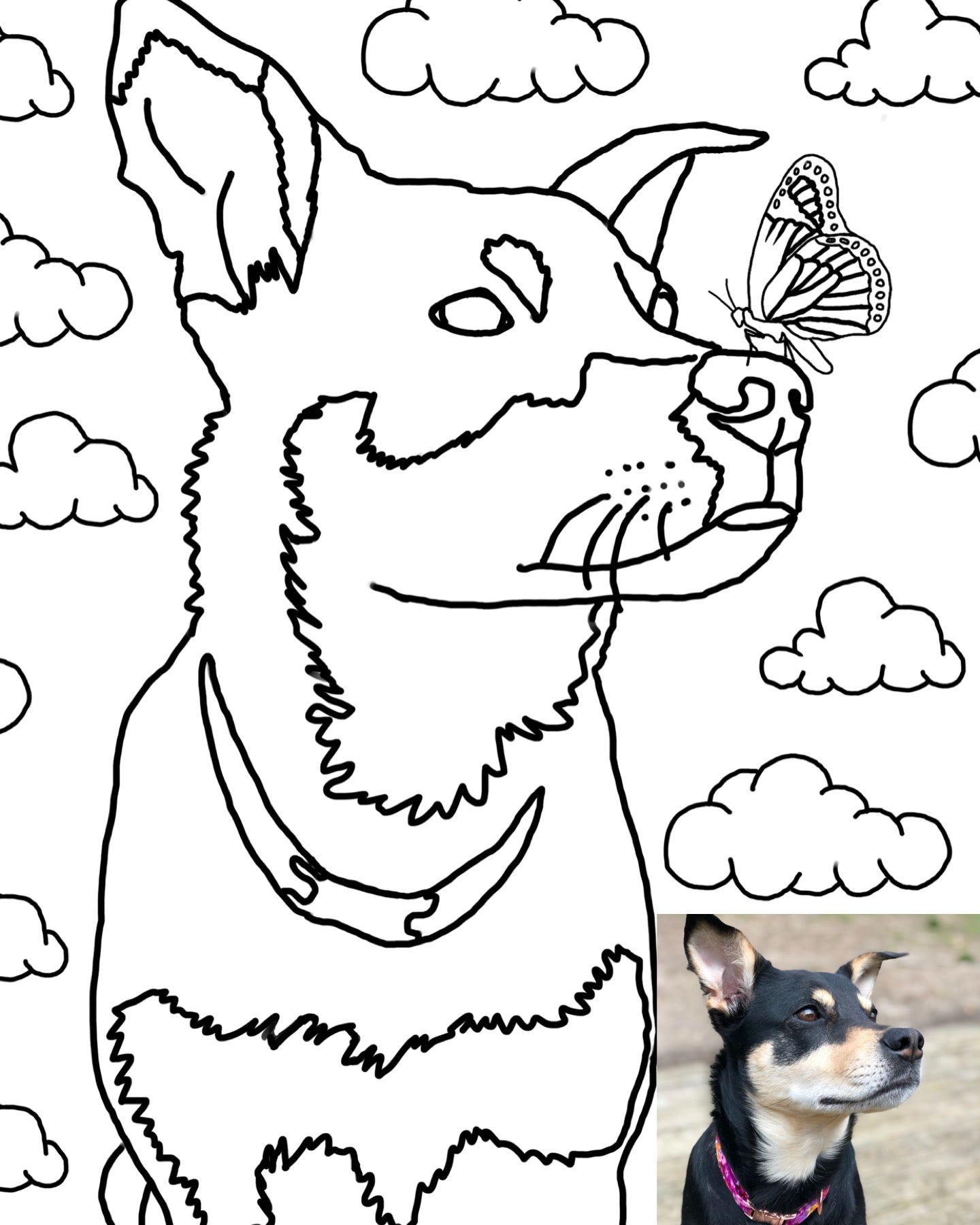 Custom Pet Coloring Page