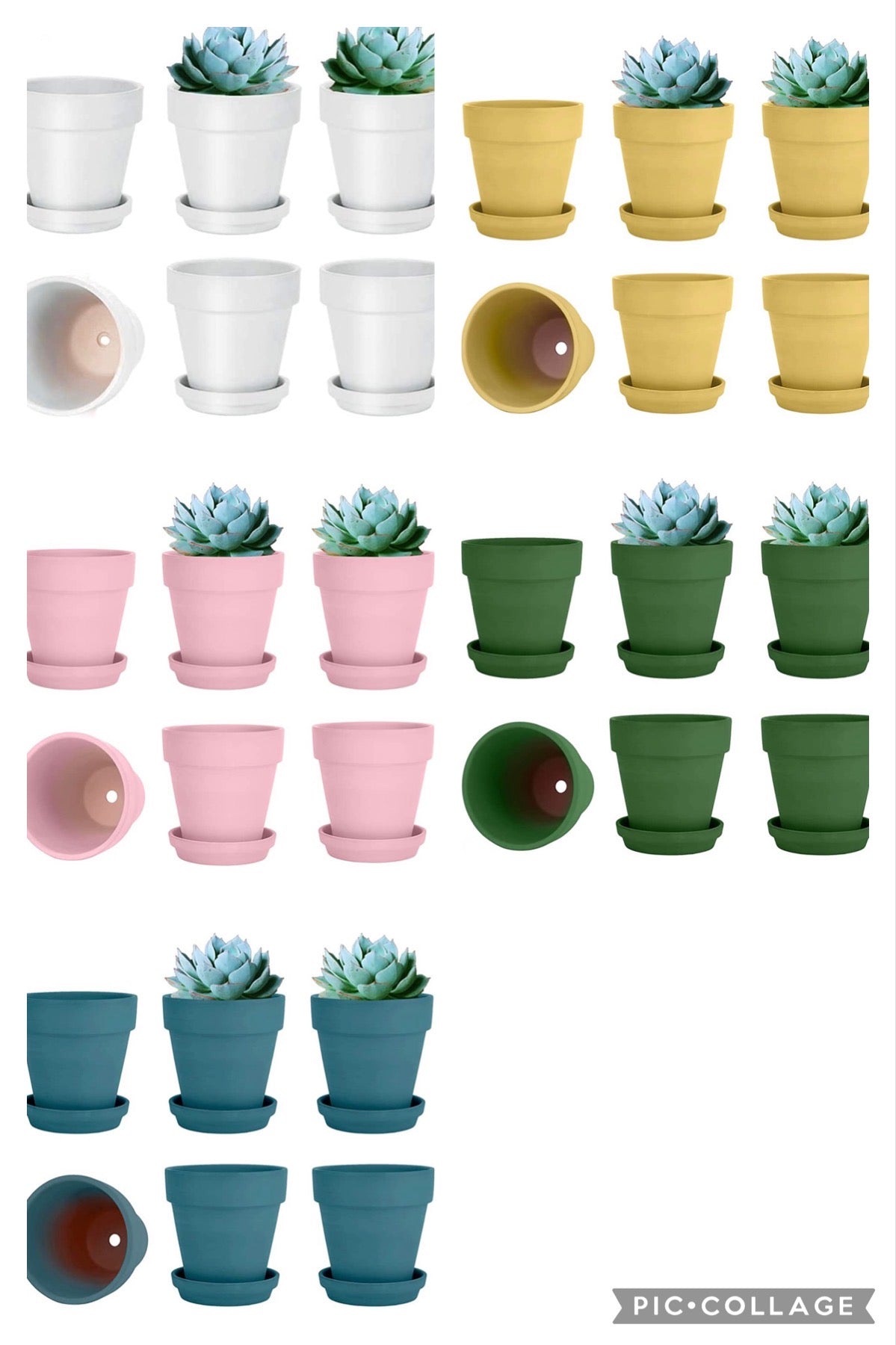 Pet Pawtrait Flower Pot