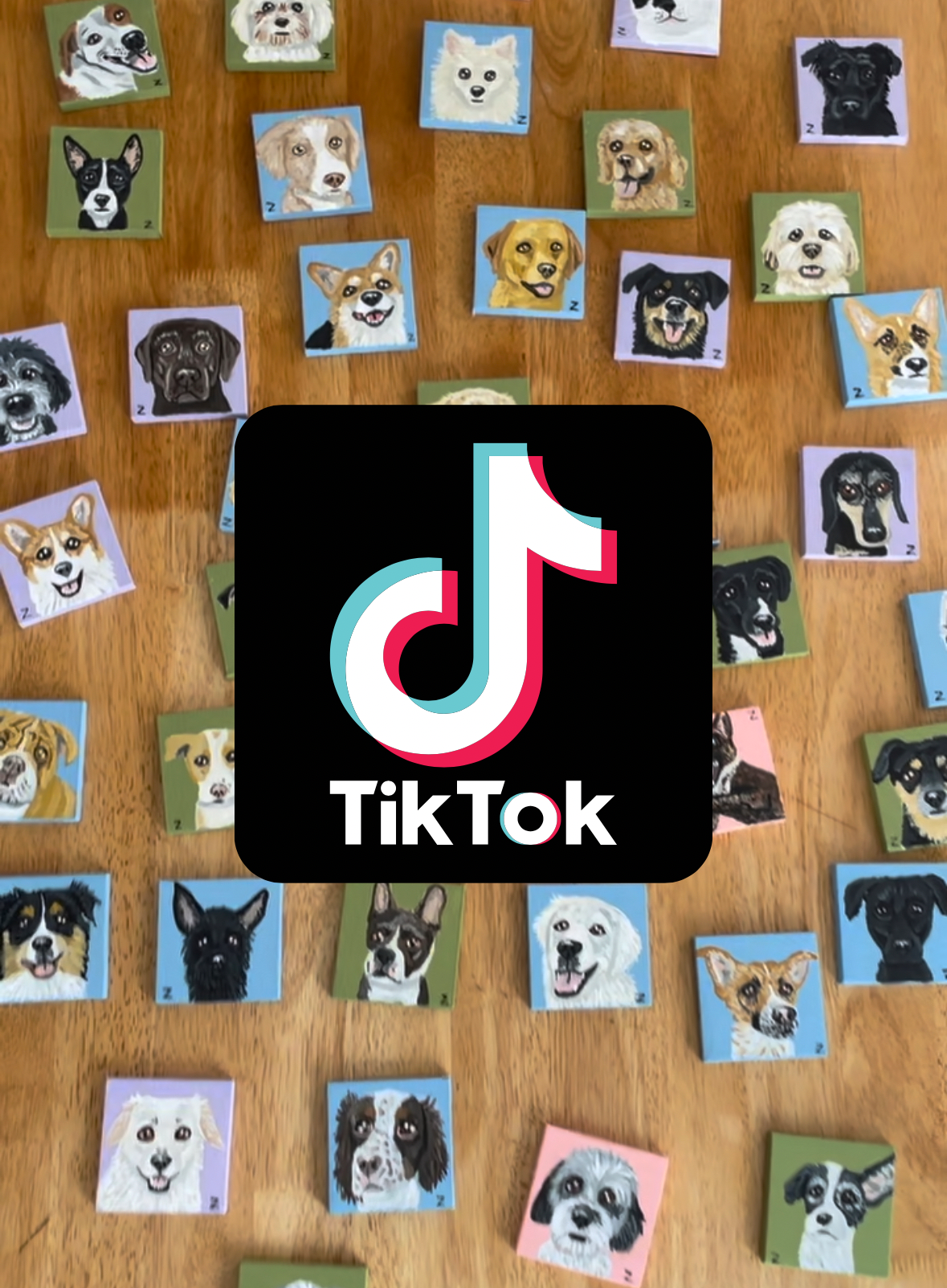 Tik Tok Live Minis