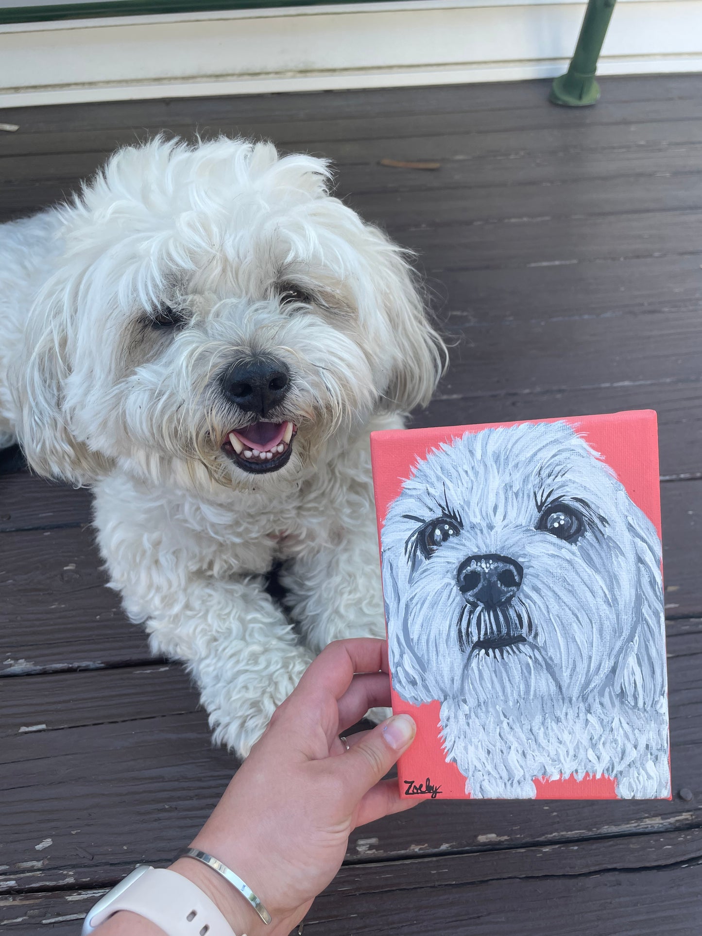 Hand Painted Pet Portraits
