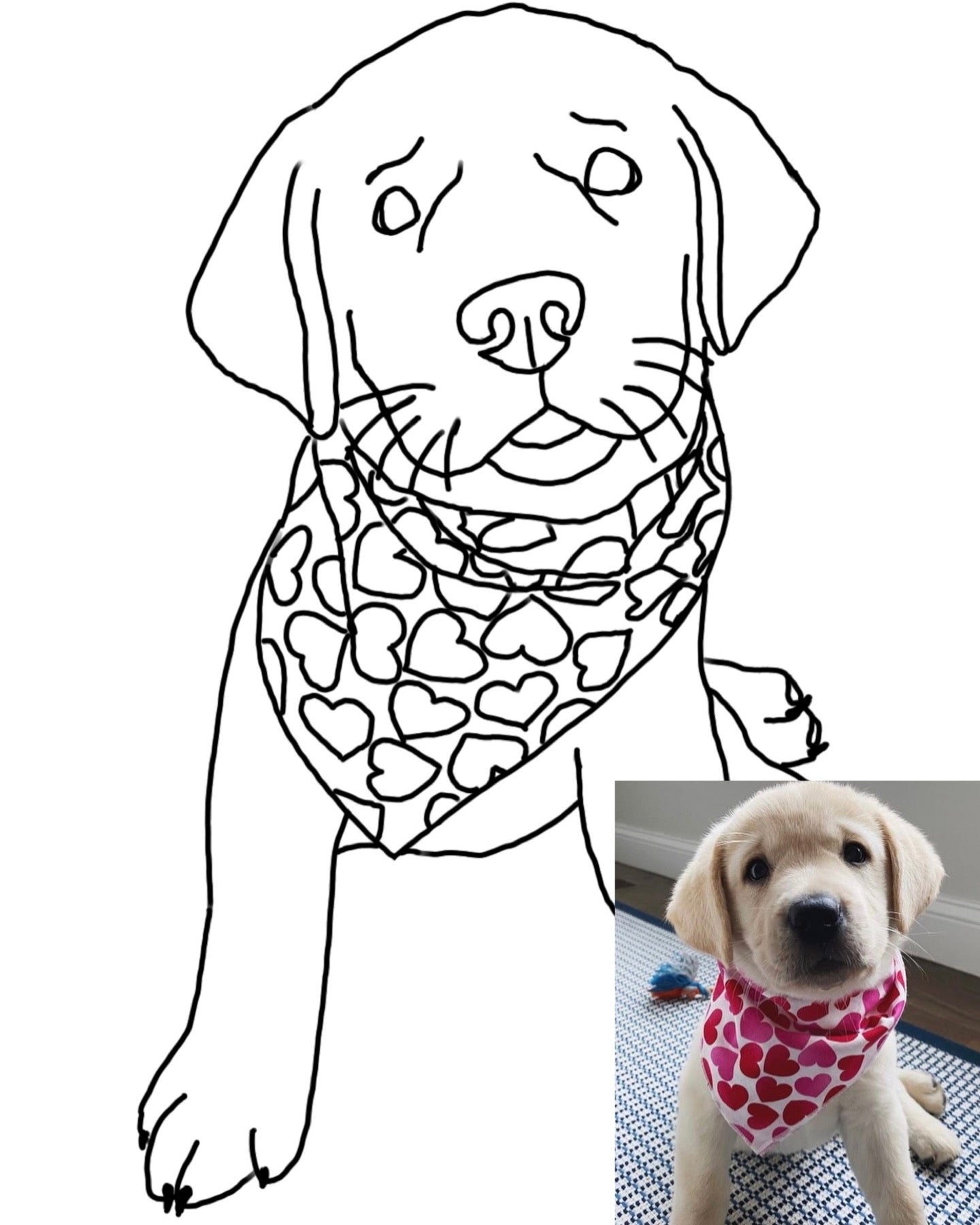 Custom Pet Coloring Page